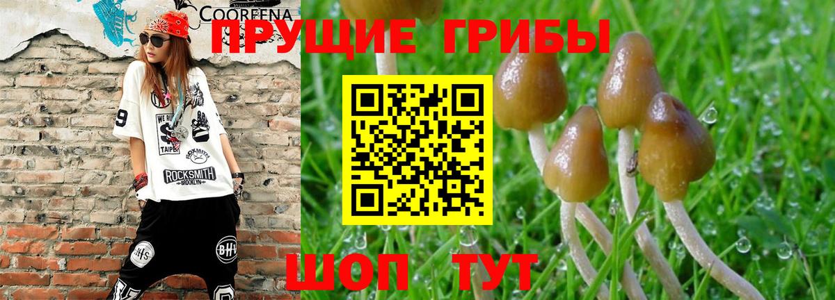 Галлюциногенные грибы мухоморы  Вход с VPN  Кунгур 